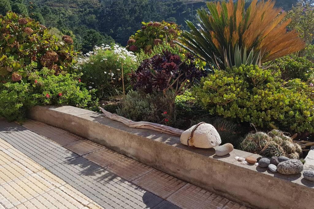 Raposeira De Sao Joao, The Feeling Of Peace, Space And Quiet, Whole Villa Is Yours Fajã da Ovelha Eksteriør bilde