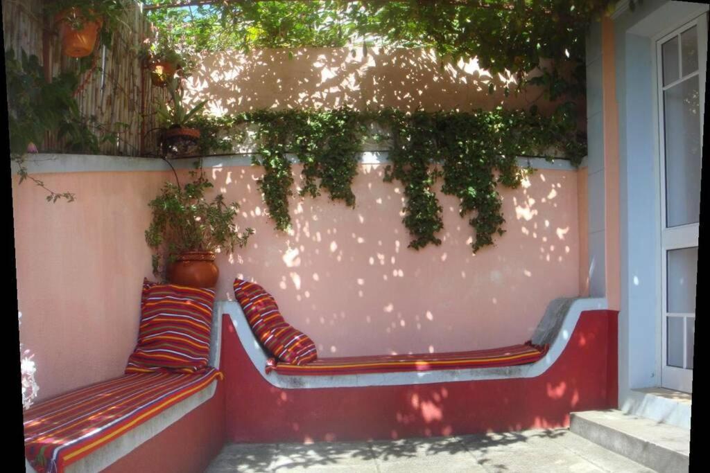 Raposeira De Sao Joao, The Feeling Of Peace, Space And Quiet, Whole Villa Is Yours Fajã da Ovelha Eksteriør bilde